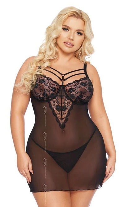 Aldona Nuisette avec liens Grande Taille