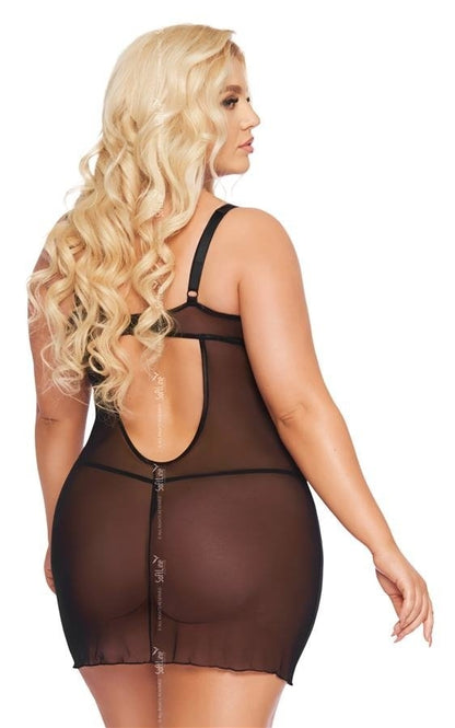 Aldona Nuisette avec liens Grande Taille