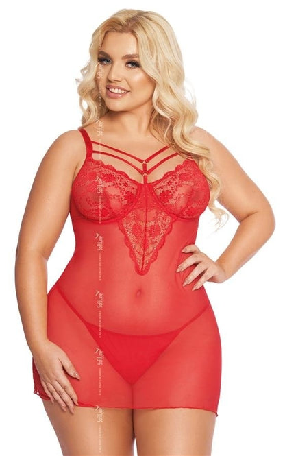 Aldona Nuisette avec liens Grande Taille